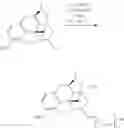 Fig. 104 - OLIGOMER-OPIOID AGONIST CONJUGATES