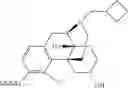 Fig. 33 - OLIGOMER-OPIOID AGONIST CONJUGATES