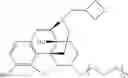 Fig. 35 - OLIGOMER-OPIOID AGONIST CONJUGATES