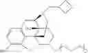Fig. 37 - OLIGOMER-OPIOID AGONIST CONJUGATES