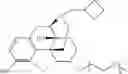Fig. 41 - OLIGOMER-OPIOID AGONIST CONJUGATES