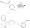 Fig. 63 - OLIGOMER-OPIOID AGONIST CONJUGATES