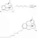Fig. 91 - OLIGOMER-OPIOID AGONIST CONJUGATES