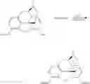 Fig. 92 - OLIGOMER-OPIOID AGONIST CONJUGATES