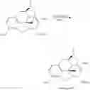 Fig. 96 - OLIGOMER-OPIOID AGONIST CONJUGATES