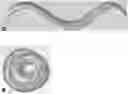 Fig. 01 - Compounds and methods for treating nematode infections