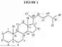 Fig. 02 - Synthetic bile acid compositions and methods
