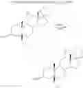 Fig. 07 - Synthetic bile acid compositions and methods