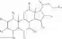 Fig. 15 - POLYHYDROXYLATED BILE ACIDS FOR TREATMENT OF BILIARY DISORDERS