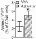 Fig. 01 - Inhibiting senescent processes in beta cells for the prevention of type 1 diabetes