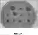 Fig. 04 - Bovine milk oligosaccharides