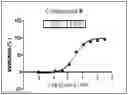 Fig. 01 - CD73 inhibitors and pharmaceutical uses thereof