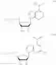 Fig. 06 - CD73 inhibitors and pharmaceutical uses thereof