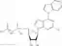 Fig. 46 - CD73 inhibitors and pharmaceutical uses thereof