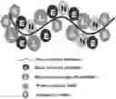 Fig. 01 - Antiseptic polymer and synthesis thereof
