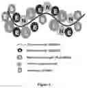 Fig. 02 - Antiseptic polymer and synthesis thereof