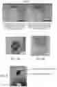 Fig. 03 - Hydrozincite containing zinc carbonate hydroxide hydrate and method of making