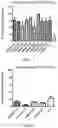 Fig. 02 - Chimeric antigen receptors targeting BCMA and methods of use thereof