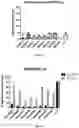 Fig. 06 - Chimeric antigen receptors targeting BCMA and methods of use thereof