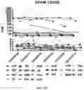 Fig. 22 - Chimeric antigen receptors targeting BCMA and methods of use thereof