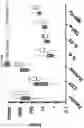 Fig. 27 - METHODS FOR DETERMINING CAR-T CELLS DOSING