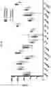 Fig. 31 - METHODS FOR DETERMINING CAR-T CELLS DOSING