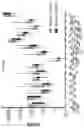 Fig. 35 - METHODS FOR DETERMINING CAR-T CELLS DOSING