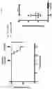 Fig. 10 - Use of chimeric antigen receptor modified cells to treat autoimmune disease