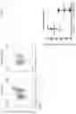 Fig. 12 - Use of chimeric antigen receptor modified cells to treat autoimmune disease