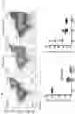 Fig. 13 - Use of chimeric antigen receptor modified cells to treat autoimmune disease