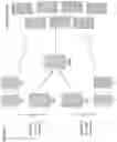 Fig. 05 - SYSTEMS AND METHODS FOR PREPARATION OF PLATELETS