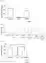 Fig. 07 - METHOD FOR TREATMENT OF INFERTILITY, PHARMACEUTICAL COMPOSITION FOR TREATMENT OF INFERTILITY AND METHOD FOR PRODUCING THE SAME