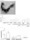 Fig. 10 - METHOD FOR TREATMENT OF INFERTILITY, PHARMACEUTICAL COMPOSITION FOR TREATMENT OF INFERTILITY AND METHOD FOR PRODUCING THE SAME