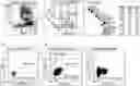 Fig. 01 - Stromal stem cells