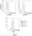 Fig. 02 - Stromal stem cells