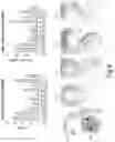 Fig. 06 - Stromal stem cells