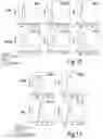 Fig. 10 - Stromal stem cells