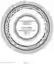 Fig. 02 - Method of preventing or treating obesity using a novel strain of 