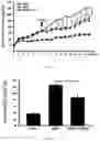 Fig. 11 - Method of preventing or treating obesity using a novel strain of 