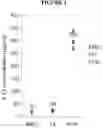 Fig. 02 - Multiple transgene recombinant adenovirus