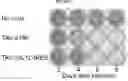 Fig. 04 - Multiple transgene recombinant adenovirus