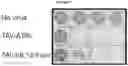 Fig. 08 - Multiple transgene recombinant adenovirus