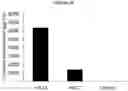 Fig. 11 - Multiple transgene recombinant adenovirus