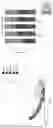 Fig. 19 - TARGETED THERAPEUTIC COMPOSITIONS AND METHODS OF USE THEREOF FOR CLOSTRIDIUM DIFFICILE INFECTIONS
