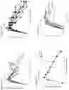 Fig. 09 - Microbiome transplantation