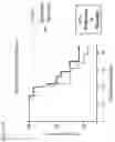 Fig. 24 - Microbiome transplantation
