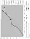 Fig. 12 - Composition for enhanced milk production and feed efficiency and pathogen inhibition