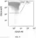 Fig. 07 - COMPOSITIONS AND METHODS FOR THERAPY WITH DENGUE VIRUS