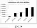 Fig. 12 - COMPOSITIONS AND METHODS FOR THERAPY WITH DENGUE VIRUS