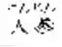 Fig. 05 - Composition for treating fatty liver